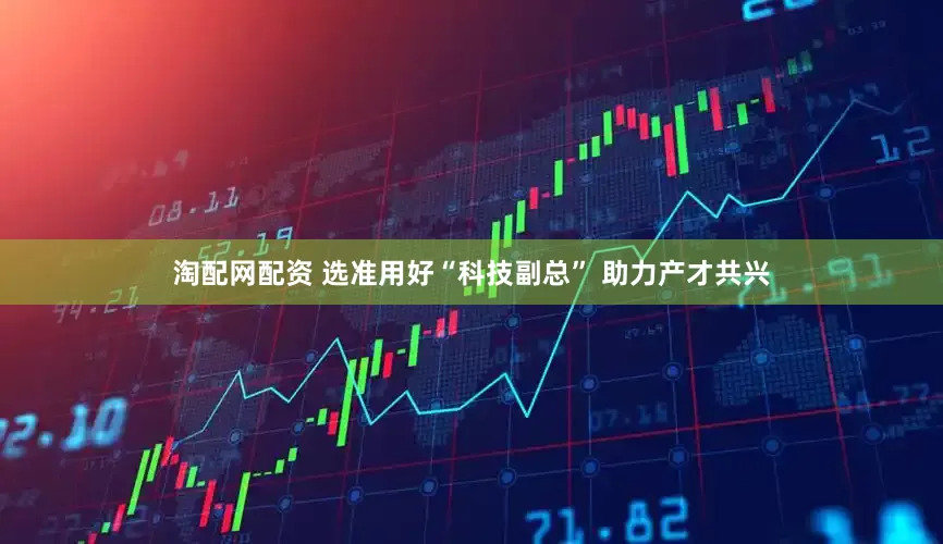 淘配网配资 选准用好“科技副总” 助力产才共兴