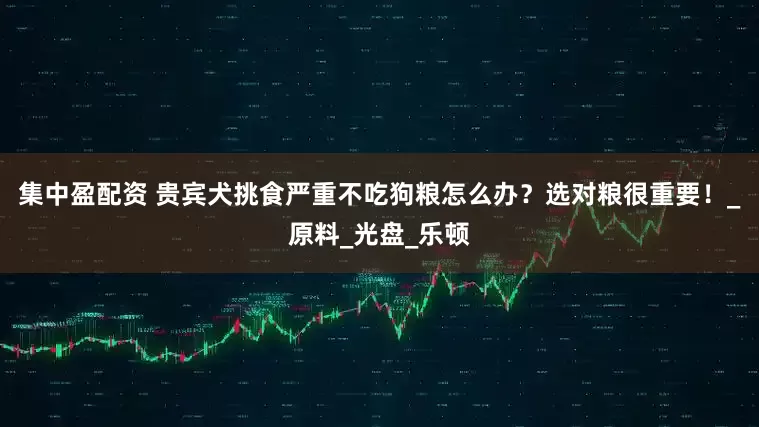 集中盈配资 贵宾犬挑食严重不吃狗粮怎么办？选对粮很重要！_原料_光盘_乐顿