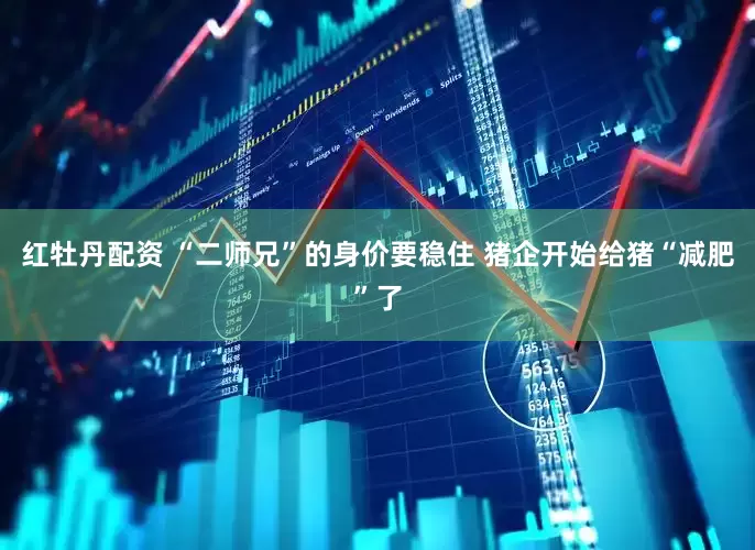 红牡丹配资 “二师兄”的身价要稳住 猪企开始给猪“减肥”了